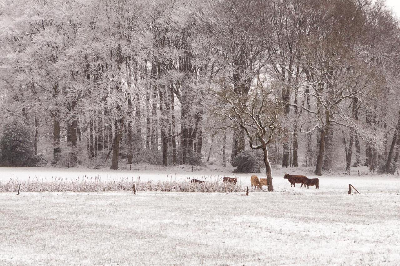 Hoeve Springendal Ootmarsum Exterior foto